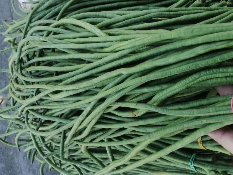 Long Beans, Sitaw