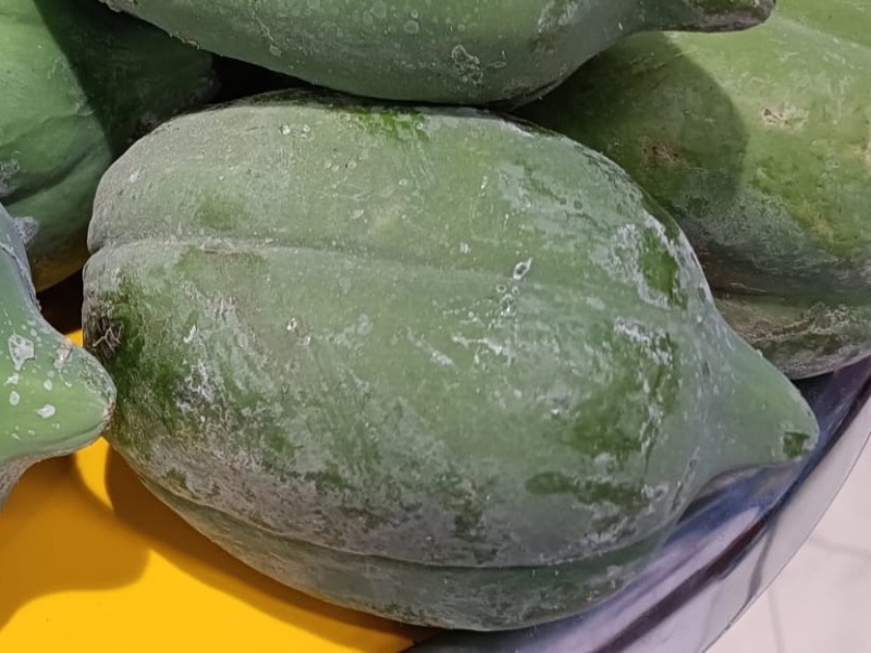 Green Papaya, Medium