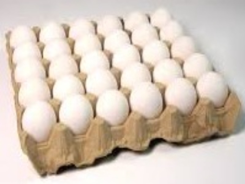 Chicken, Fresh Eggs, Medium