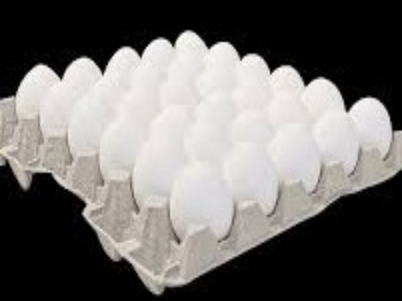 Chicken, Fresh Eggs, Small