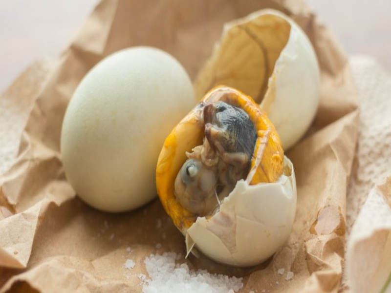 Ducks, Balut